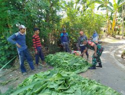 Dari Ladang ke Hati Rakyat: Aksi Nyata Sertu Johari di Bandilan