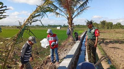 Babinsa dan PPL Turun Langsung Cek Pembangunan Irigasi Sawah Warga Koncer Kidul