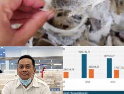 Beny Hutapea : Industri Sarang Burung Walet Semakin Lama Semakin Menurun, Kemendag Diminta Turun Tangan