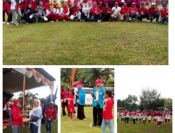 Karnaval dan Lomba Meriahkan HUT RI ke -80 2025 Desa Wonosari Kecamatan Megang Sakti Kabupaten Musirawas