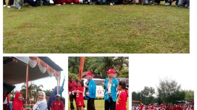 Karnaval dan Lomba Meriahkan HUT RI ke -80 2025 Desa Wonosari  Kecamatan Megang Sakti Kabupaten Musirawas