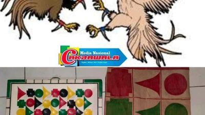 Diduga Polsek Tutup Mata ,Arena Perjudian Sabung Ayam dan Cap Jiki di Lekok Pasuruan