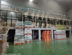 Wujudkan Asta Cita Presiden Prabowo Subianto , Bulog Jember Tetap Siaga Serap Gabah Petani