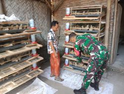 Babinsa Kodim 0822 Bondowoso Bantu Warga Kembangkan Peternakan Puyuh