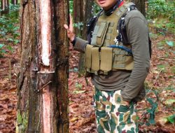 Administratur PERHUTANI Ngetrail Bareng LMDH Cek Proses Produksi Getah