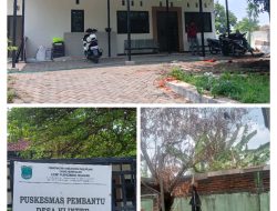 Pembangunan Pustu,Desa Klinter, Kecamatan Kejayan Tidak Sertakan Papan Informasi