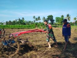 Babinsa Dampingi Petani Olah Lahan, Wujud Kepedulian TNI Terhadap Ketahanan Pangan
