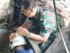 Babinsa Kodim 0822 Tanggap Cepat Selamatkan Warga Jatuh ke Sumur di Bondowoso