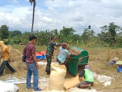 Sinergi TNI, Polri, dan PPL Jaga Distribusi Pupuk Subsidi di Bondowoso