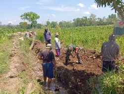 Babinsa Pantau Ketat Pembangunan Plengsengan Irigasi, Pastikan Manfaat untuk Petani