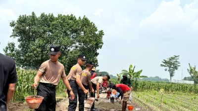 Siswa Diktukba SPN Polda Jatim Beri Manfaat Nyata, Bantu Pembangunan Akses Jalan Petani di Kediri