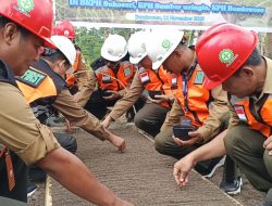 Perhutani Bondowoso dan LMDH Wonoasri Gelar Tabur Benih Pinus Merkusii Serentak di BKPH Sukosari