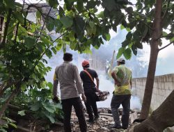 Fogging Digelar di Dusun Sumbersari, Kapolsek Lumbang: “Upaya Penanggulangan Wabah Chikungunya Harus Cepat dan Terarah”