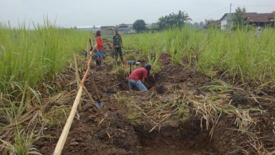 Babinsa 0822 mengawasi pembangunan Program KDKMP di Dusun Gentenggan Bondowoso.