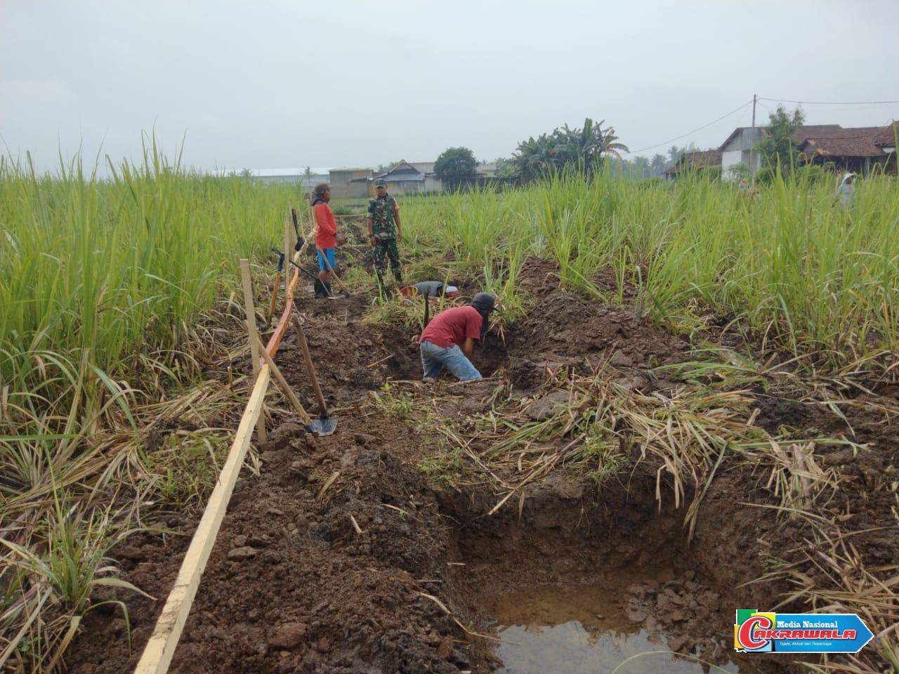 Babinsa 0822 mengawasi pembangunan Program KDKMP di Dusun Gentenggan Bondowoso.