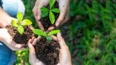Membangun Kesadaran Hijau Bersama: Peran Edukasi Lingkungan di Masyarakat