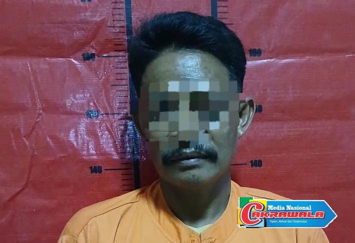 Penangkapan buronan pencurian sapi oleh Satreskrim Polres Sumenep.