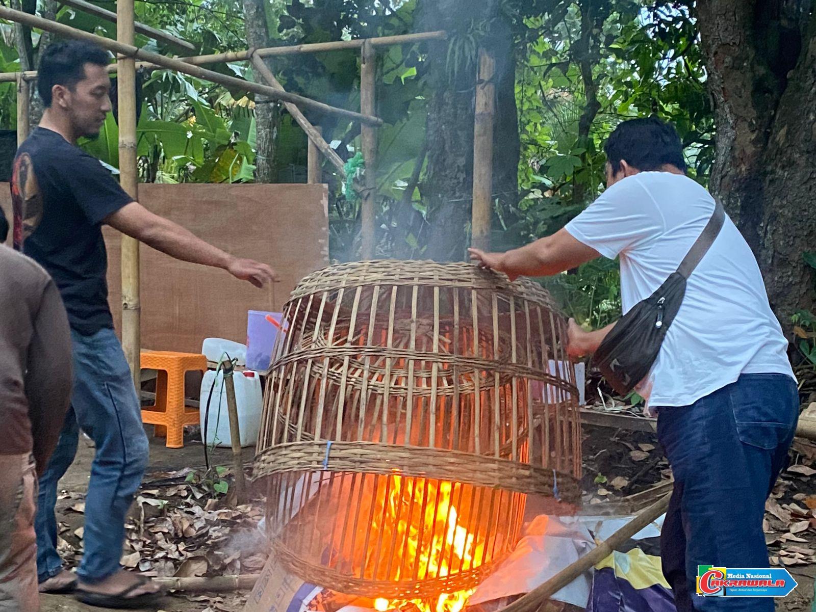 Polresta Malang Kota membongkar arena judi sabung ayam di Kedungkandang.