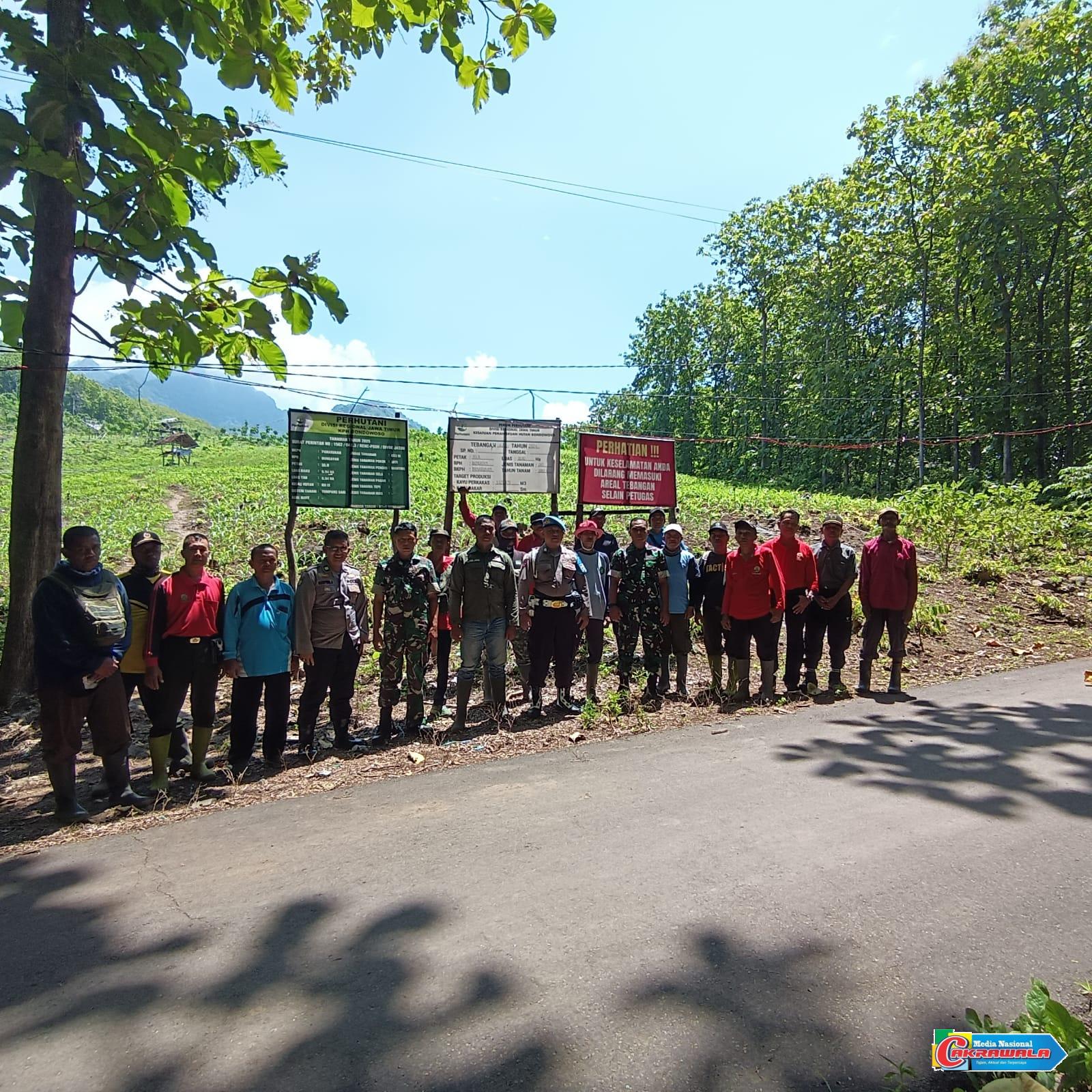 Kegiatan penanaman pohon bersama Perhutani, TNI–Polri, dan masyarakat di Situbondo untuk rehabilitasi ekosistem hutan.