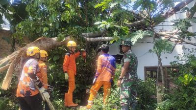 Aksi Cepat Serma Fachrizal! Babinsa Jambesari Gerakkan Gotong Royong Bersihkan Tiga Desa Pasca Puting Beliung