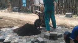 Proyek Rekontruksi Jalan Desa Rejosari Kecamatan Kraton Kabupaten Pasuruan Para Pekerja Abaikan (K3) Dan Kualitas Paving Sangat Rendah