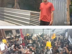 BUMDES Intasari Desa Kedensari Melirik Usaha Budidaya Ikan dan Berternak Ayam Kampung Pedaging Dikarenakan Mudah Laku