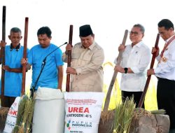 Presiden RI Prabowo Subianto Hadiri Panen Raya,Program Prioritas Pemerintah Swasembada Pangan