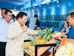 Presiden RI Prabowo Subianto Meninjau Inovasi Tehnologi Pertanian Modern