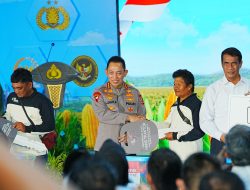 Panen Raya Jagung di Bekasi, Kapolri Salurkan Alsintan dan Sembako untuk Kelompok Tani dan Masyarakat