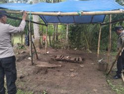 Polres Malang Kembali Bongkar Area Sabung Ayam di Kalipare