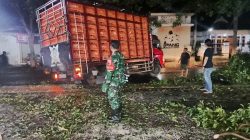 Babinsa 0822 Sigap Bantu Evakuasi Truk Tabrak Tembok Alfamart di Badean