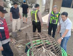 Polresta Sidoarjo Bongkar Dua Arena Sabung Ayam di Lokasi Berbeda