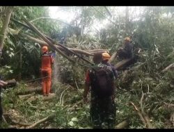 Peran Nyata Babinsa Saat Bencana, Dampingi Warga Poncogati Pasca Puting Beliung
