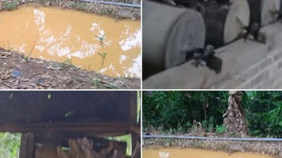 Oknum Kepala Desa Sinar Harapan Kabupaten Pesawaran, Diduga Lakukan Pengolahan Tambang Emas Ilegal