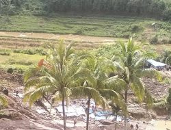 Peti Sibarambang: Kejahatan Terbuka, Pelanggaran Berlapis Undang-undang