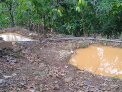 Camat Kedondong Angkat Bicara Adanya dugaan Oknum Kepala Desa Sinar Harapan Lakukan Pengolahan Tambang Emas Ilegal