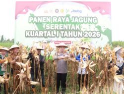 Polres Malang Panen Raya Jagung, Hasil 8 Ton untuk Dukung Stok Pangan