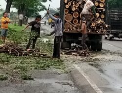 Pemotongan Pohon di Jalan Provinsi Bendungan–Kraton Disorot Warga, Sisa Kayu Berserakan Ganggu Pengendara