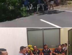 Genteng Berduka, IWB Soroti Dugaan Kelalaian Pemkab dalam Pengawasan Pohon Rawan Tumbang