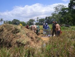 Babinsa Turun Sawah, Totalitas Dukung Ketahanan Pangan di Tangsil Kulon