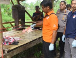 Polres Bondowoso olah tempat kejadian perkara penemuan bayi