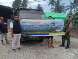 Panen 5 Ton Di Pujer, Kodim 0822 Pastikan Hasil Petani Terjual Dengan Harga Maksimal