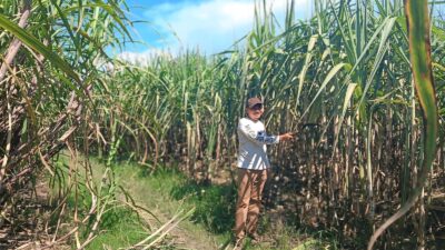 Anggota DPRD Blora Yuyus Waluyo Dorong Pengambilalihan PG GMM oleh PTPN, Soroti Krisis Tata Kelola