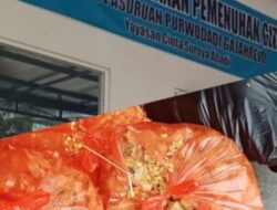 Publik Menunggu Tindakan Tegas Pihak Terkait: Menu MBG SPPG Gajahrejo Basi,Menuai Sorotan dan Mengancam Kesehatan Murid