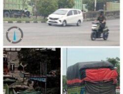 Pagi Hari Dilanggar, Siang Hari Dibiarkan: Gajah-Gajah Jalanan Kian Tak Terkendali