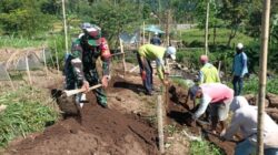 DESTANA Dibentuk di Binakal, TNI-Polri-BPBD Bondowoso Kompak Siapkan Desa Tangguh