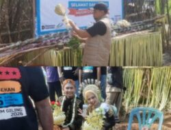 Tradisi Petik Tebu Manten 2026 PG Pradjekan Berlangsung Khidmat, Doa Bersama Iringi Harapan Musim Giling Lancar