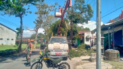 Babinsa Kademangan Pantau Penebangan Pohon Rawan Roboh, Wujud Antisipasi Demi Keselamatan Warga