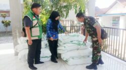875 Kg Bibit Padi Disalurkan, Babinsa Jadi Garda Terdepan Pendamping Petani