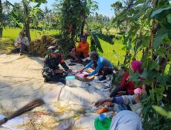 Ada Obrolan Hangat di Tengah Sawah Duk Debeh, Babinsa Sumber Salak Bahas Ini Bersama Petani